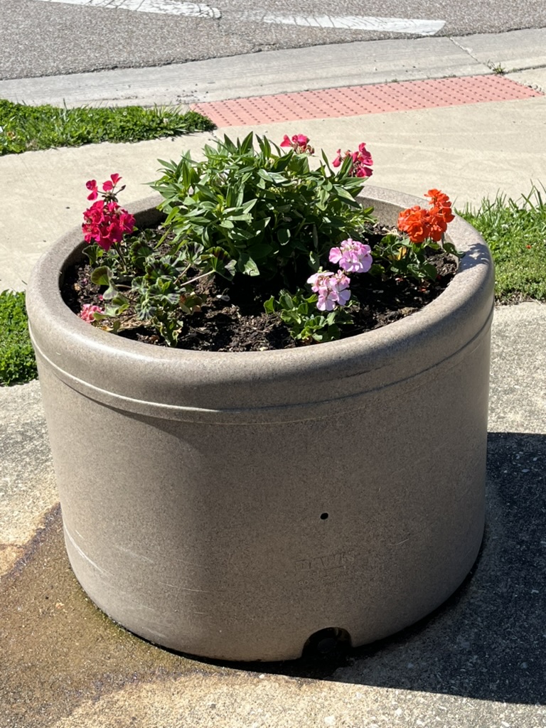 Garden photo